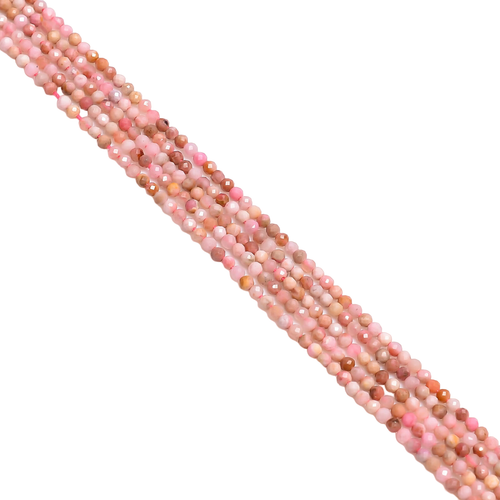 po.1 PhotoRoom.png PhotoRoom.png