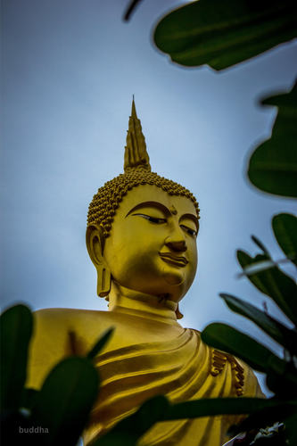 217D1F2D AAD0 495C 8ABB A475254F1D22.png