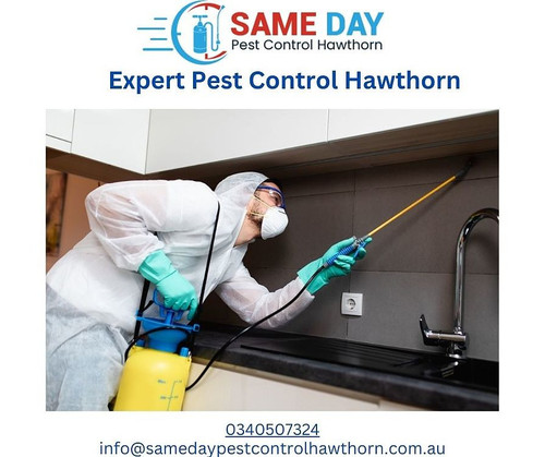 Pest Control Hawthorn.jpg