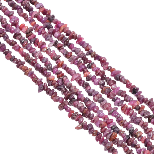 nq.1 PhotoRoom.png PhotoRoom.png