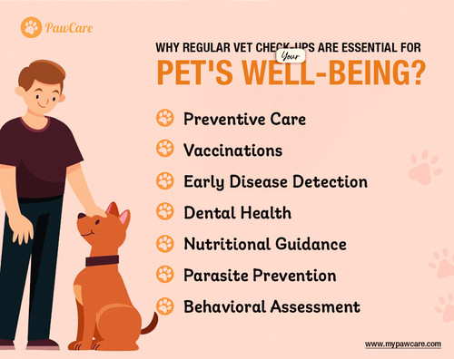 Why regular Vet check ups are essential for your pet's well being.jpg