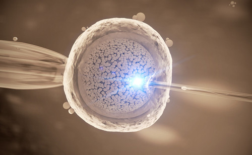 IVF concept.jpg