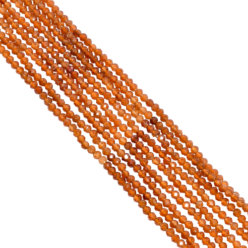 om.1 PhotoRoom.png PhotoRoom.png