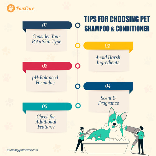 Tips for Choosing Pet Shampoo and Conditioner.jpg