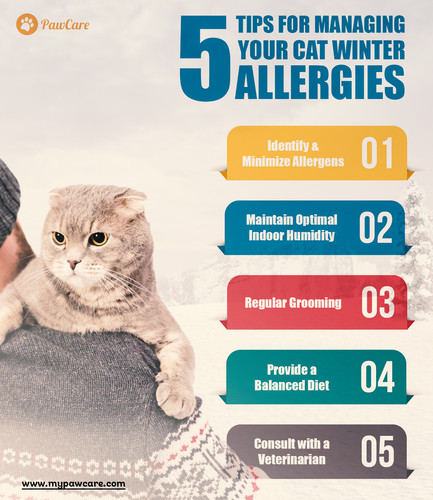 5 Tips for Managing Your cat Winter Allergies.jpg