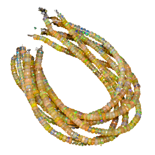 hv.1 PhotoRoom.png PhotoRoom.png