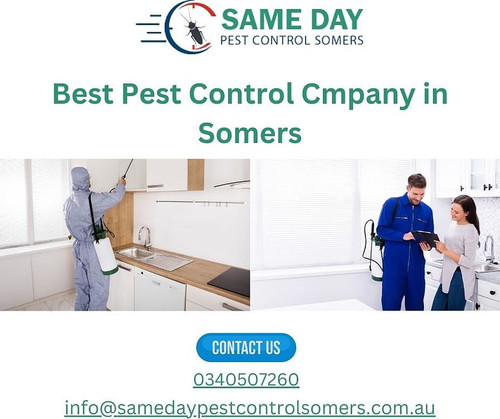 Best_pest_control_company_in_Somers.jpg
