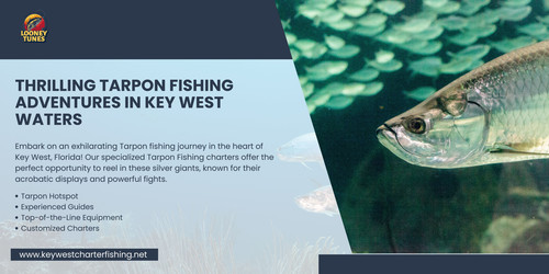 Thrilling Tarpon Fishing Adventures in Key West Waters.jpg