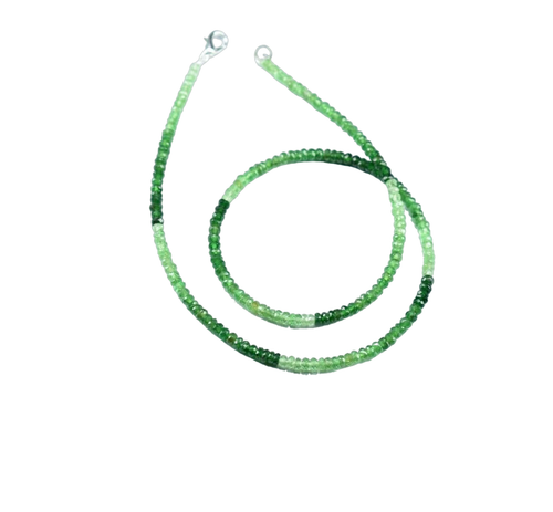 al.1 PhotoRoom.png PhotoRoom.png