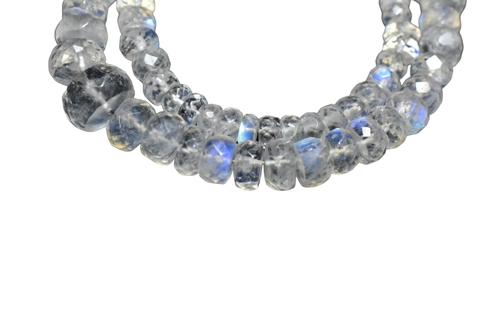 bg.1 PhotoRoom.png PhotoRoom.png