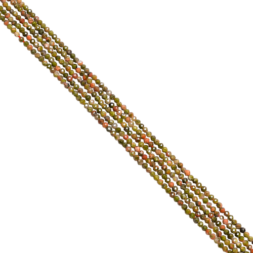 pb.1 PhotoRoom.png PhotoRoom.png