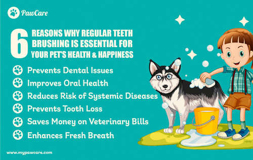 Reasons Why Regular Teeth Brushing is Essential for Your Pet's Health and Happiness.jpg