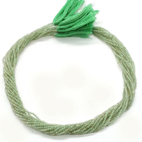 sn.2.jpg