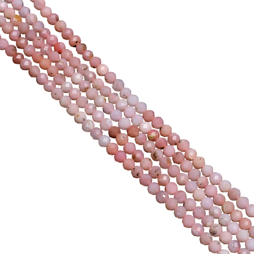 fl.1 PhotoRoom.png PhotoRoom.png