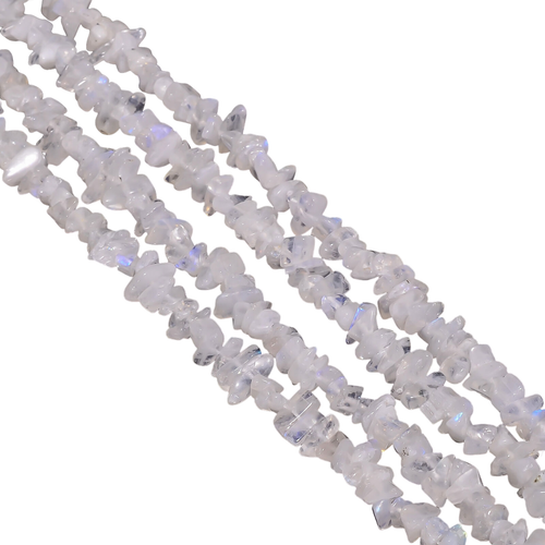 fn.1 PhotoRoom.png PhotoRoom.png