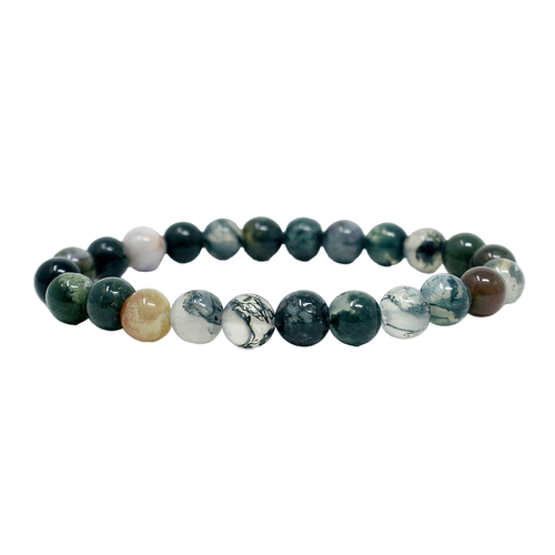 ce.1 PhotoRoom.png PhotoRoom.png