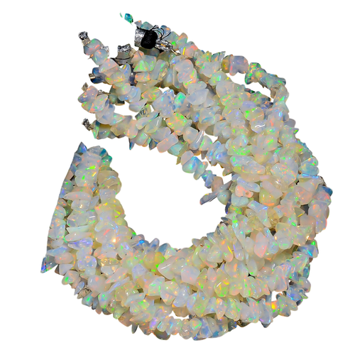 fs.1 PhotoRoom.png PhotoRoom.png