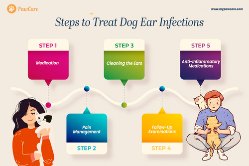 Steps to Treat Dog Ear Infections.jpg