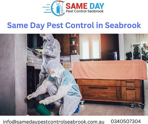 Same Day Pest Control Seabrook.jpg