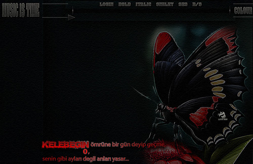 Lady Nur Kelebek.jpg