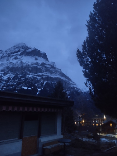 IMG 20240211 181645.jpg