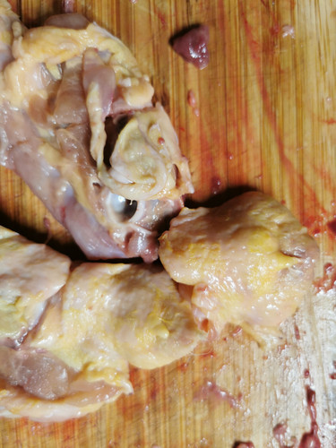 IMG 20240211 200355.jpg