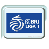 liga bri