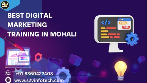 best digital marketing institute in Mohali S2VInfotech.jpg
