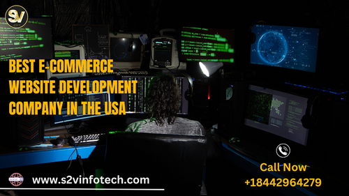 S2V Infotech top website development Company in USA.png