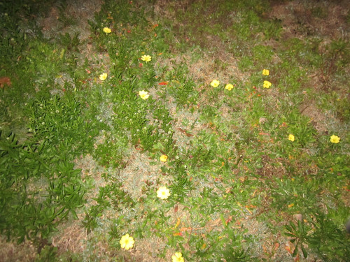 IMG 5456.jpg
