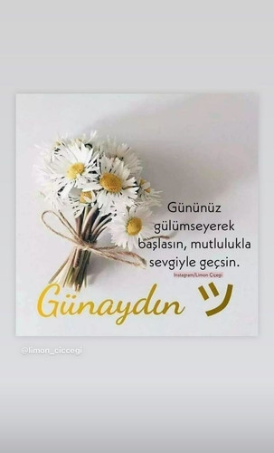 6d2d15f54fdeef497ccfd2c7dfd94990.jpg