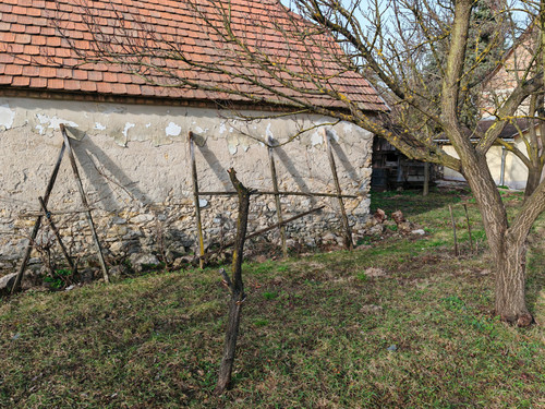 IMG 20240210 143035.jpg