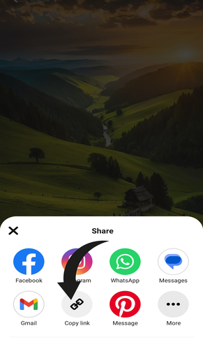 Pinterest video downloader.png