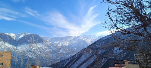 IMG 20240210 151546.jpg