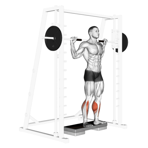 negative calf raise.gif