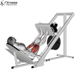 Leg press.gif