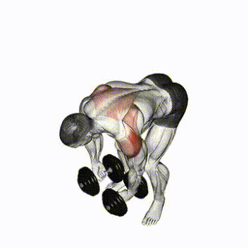 Bent over raises.gif