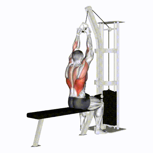 Lats pull down close grip.gif