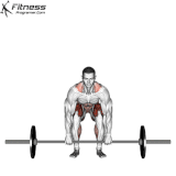 Deadlift.gif