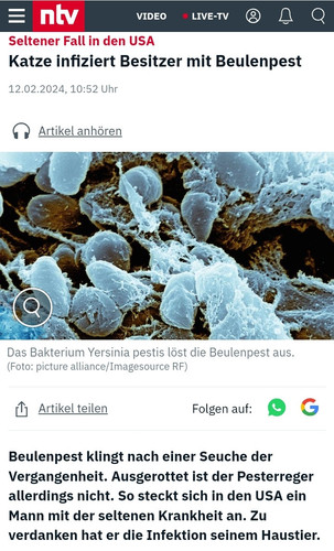 Screenshot 20240212 144412 Chrome.jpg