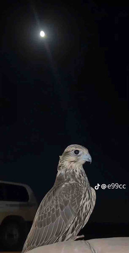 5C8EC5C2 26E5 4B2A 868E 6076048E43DA.jpg