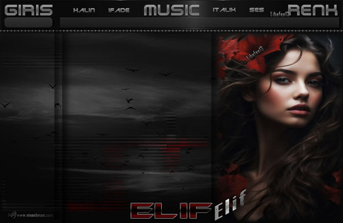 Bayan Radyo Tema 311 ELIF