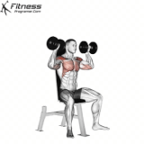 Shoulders press Dumbbells.gif
