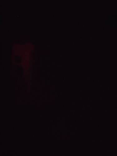 IMG 20240209 023913.jpg