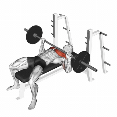 Flat bench press Barbell.gif