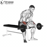 Forearms exercises.gif