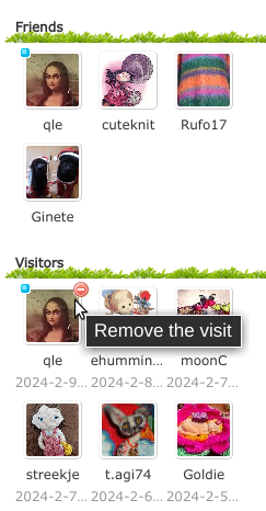 remove the visit.png