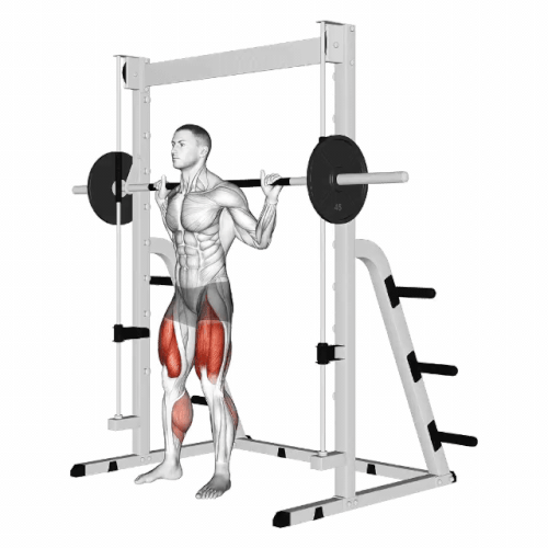 Smith machine stance squats.gif