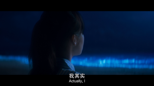 第01集 一闪一闪亮星星 hls5hd4 sdr hbr bit10 hq default.mkv 20240213 100538.270.png