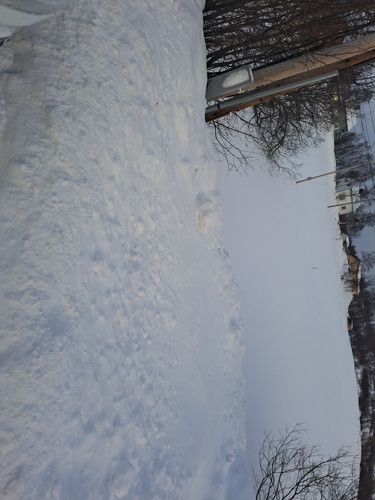 IMG 20240205 095410 01.jpg